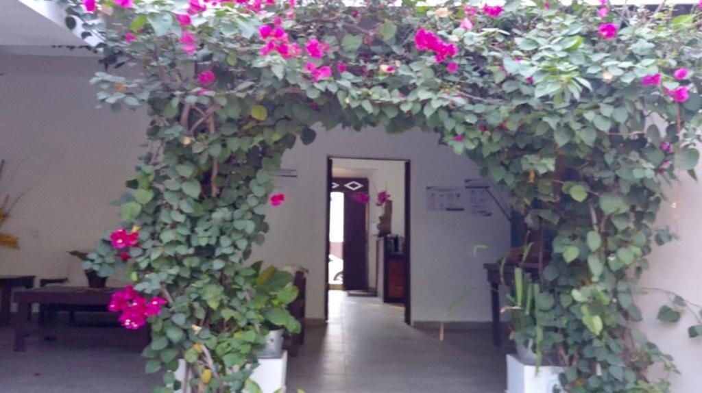 Hotel Jardin De Las Marias Suchitoto Exteriör bild